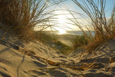 Gün batımında, Hollanda 'nın Kuzey Denizi kıyısındaki kumlu bir kumulda kumların arasından denize bak.