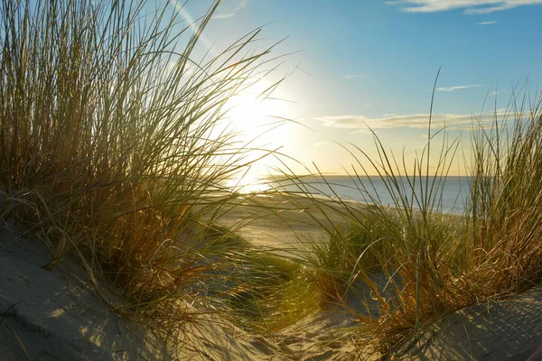 Vista Través Hierba Playa Una Duna Arena Mar Atardecer Costa — Foto de Stock