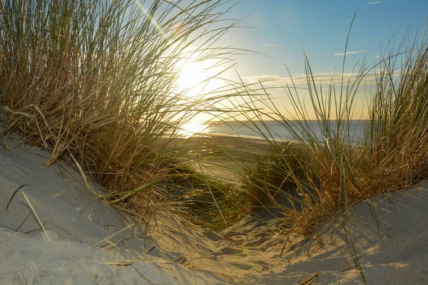 Vista Través Hierba Playa Una Duna Arena Mar Atardecer Costa — Foto de Stock