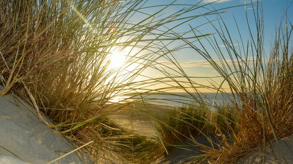 Vista Attraverso Erba Spiaggia Una Duna Sabbia Mare Tramonto Sulla — Foto Stock