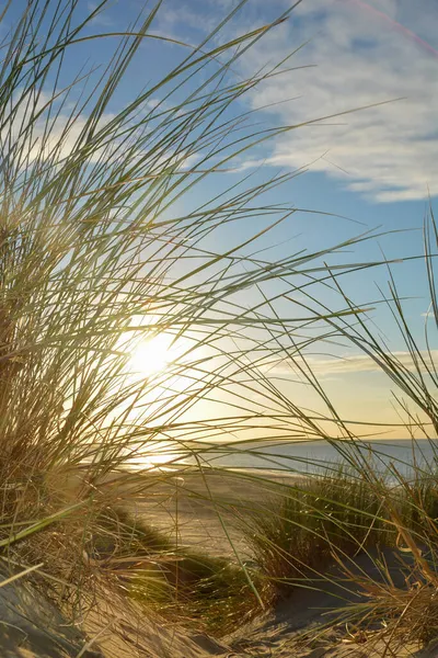 Uitzicht Door Strandgras Een Zandduin Naar Zee Bij Zonsondergang Aan — Stockfoto