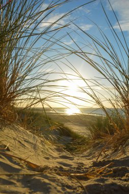 Gün batımında, Hollanda 'nın Kuzey Denizi kıyısındaki kumlu bir kumulda kumların arasından denize bak.