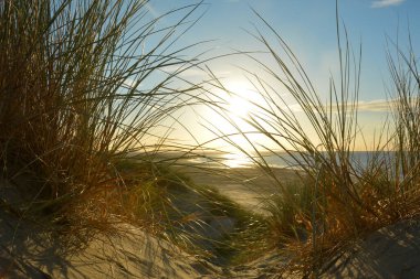 Gün batımında, Hollanda 'nın Kuzey Denizi kıyısındaki kumlu bir kumulda kumların arasından denize bak.