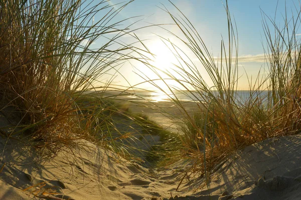 Pohled Přes Plážovou Trávu Písečné Duně Moři Při Západu Slunce — Stock fotografie