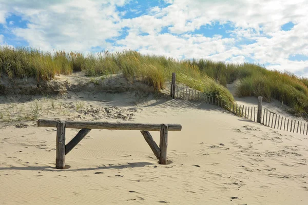Beach Grass Dunes Wooden Fence Blue Sky — Stock fotografie