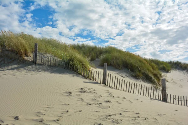 Beach Grass Dunes Wooden Fence Blue Sky — Foto Stock