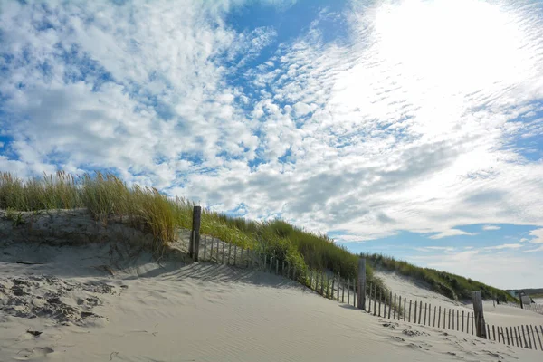 Beach Grass Dunes Wooden Fence Blue Sky — Foto de Stock