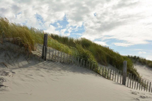 Beach Grass Dunes Wooden Fence Blue Sky — Zdjęcie stockowe