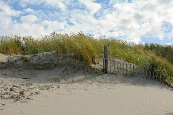 Beach Grass Dunes Wooden Fence Blue Sky — Foto Stock
