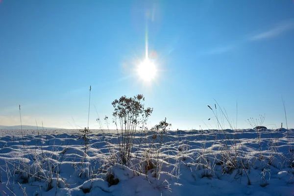 Bir Tarla Dolusu Beyaz Kar Mavi Gökyüzü Ufukta Parlak Bir — Stok fotoğraf