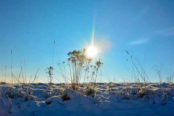 Ένα Χωράφι Πολύ Λευκό Χιόνι Μπλε Ουρανό Και Έναν Λαμπερό — Φωτογραφία Αρχείου