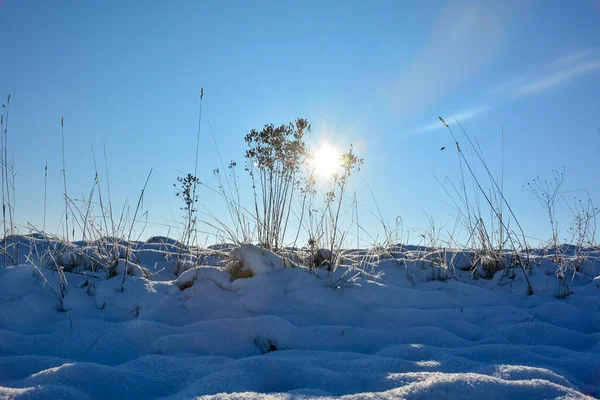 Campo Con Tanta Neve Bianca Cieli Azzurri Sole Luminoso All — Foto Stock