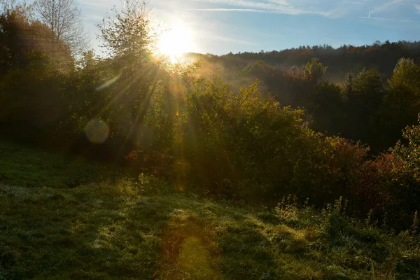 Lever Soleil Lumineux Sur Les Arbres Verts Avec Prairie Premier — Photo