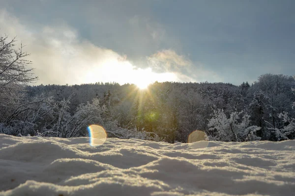 Wschód Słońca Wietrznym Lesie Śniegiem Pierwszym Planie — Zdjęcie stockowe