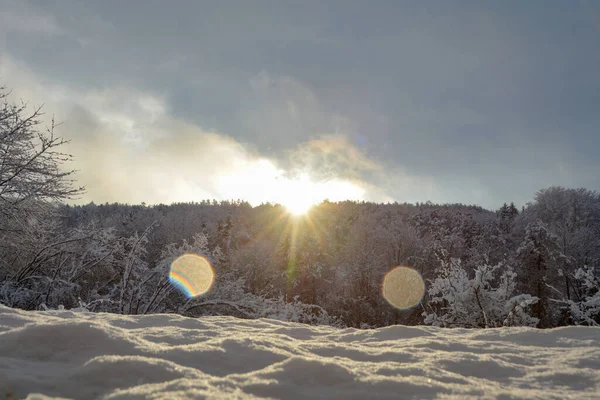 Wschód Słońca Wietrznym Lesie Głębokim Śniegiem Pierwszym Planie — Zdjęcie stockowe