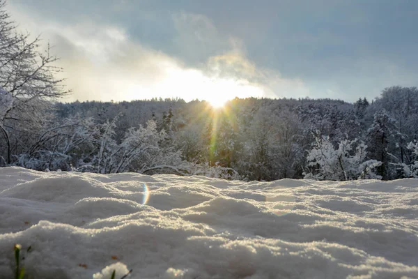 在寒冷的森林里升起的日出 前景一片白雪 — 图库照片