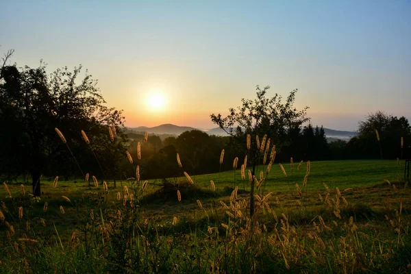 Die Natur Erwacht Sonnenaufgang Einer Grünen Landschaft Mit Morgennebel — Stockfoto