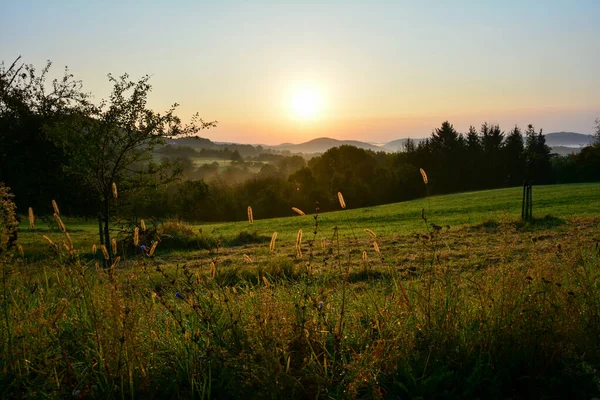 Natura Risveglia Alba Paesaggio Verde Con Nebbia Mattutina — Foto Stock