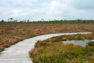 Almanya 'nın Rhn kentindeki Black Moor' dan çok uzak olmayan Hesse, Thuringia ve Bavyera 'nın üç ülkenin köşesindeki eski bir Doğu Almanya sınır tahkimatının paslı giriş kapısı olan eski bir sınır gözlem kulesinin alt kısmı., 