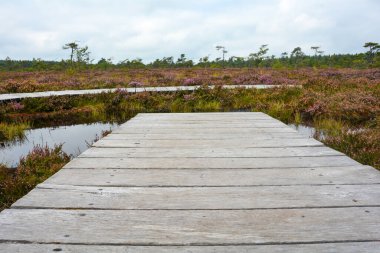 Almanya 'nın Rhn kentindeki Black Moor' dan çok uzak olmayan Hesse, Thuringia ve Bavyera 'nın üç ülkenin köşesindeki eski bir Doğu Almanya sınır tahkimatının paslı giriş kapısı olan eski bir sınır gözlem kulesinin alt kısmı., 