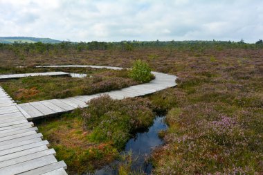 Almanya 'nın Rhn kentindeki Black Moor' dan çok uzak olmayan Hesse, Thuringia ve Bavyera 'nın üç ülkenin köşesindeki eski bir Doğu Almanya sınır tahkimatının paslı giriş kapısı olan eski bir sınır gözlem kulesinin alt kısmı., 