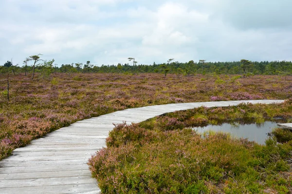 Almanya 'nın Rhn kentindeki Black Moor' dan çok uzak olmayan Hesse, Thuringia ve Bavyera 'nın üç ülkenin köşesindeki eski bir Doğu Almanya sınır tahkimatının paslı giriş kapısı olan eski bir sınır gözlem kulesinin alt kısmı., 