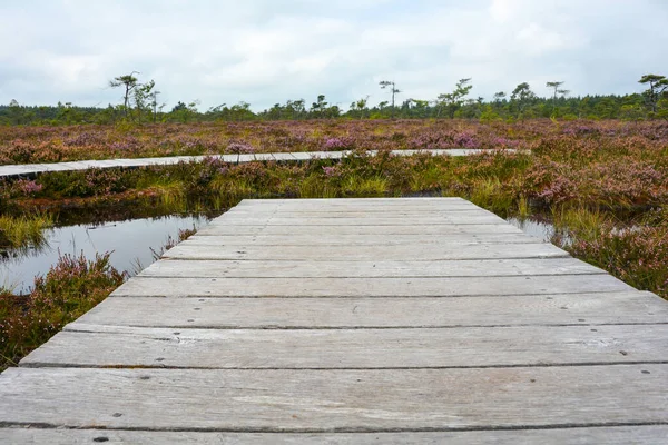Almanya 'nın Rhn kentindeki Black Moor' dan çok uzak olmayan Hesse, Thuringia ve Bavyera 'nın üç ülkenin köşesindeki eski bir Doğu Almanya sınır tahkimatının paslı giriş kapısı olan eski bir sınır gözlem kulesinin alt kısmı., 