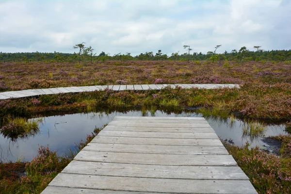 Almanya 'nın Rhn kentindeki Black Moor' dan çok uzak olmayan Hesse, Thuringia ve Bavyera 'nın üç ülkenin köşesindeki eski bir Doğu Almanya sınır tahkimatının paslı giriş kapısı olan eski bir sınır gözlem kulesinin alt kısmı., 