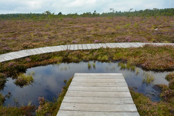 Almanya 'nın Rhn kentindeki Black Moor' dan çok uzak olmayan Hesse, Thuringia ve Bavyera 'nın üç ülkenin köşesindeki eski bir Doğu Almanya sınır tahkimatının paslı giriş kapısı olan eski bir sınır gözlem kulesinin alt kısmı., 