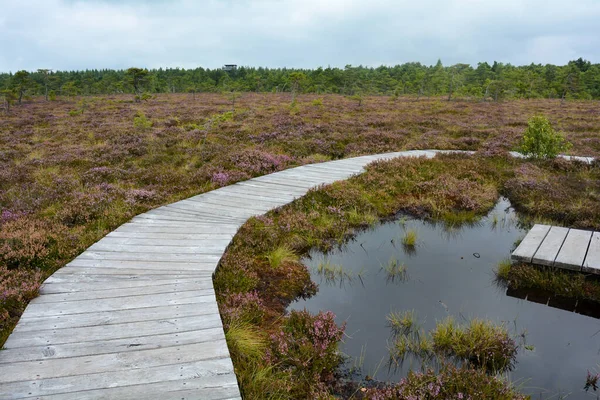 Almanya 'nın Rhn kentindeki Black Moor' dan çok uzak olmayan Hesse, Thuringia ve Bavyera 'nın üç ülkenin köşesindeki eski bir Doğu Almanya sınır tahkimatının paslı giriş kapısı olan eski bir sınır gözlem kulesinin alt kısmı., 
