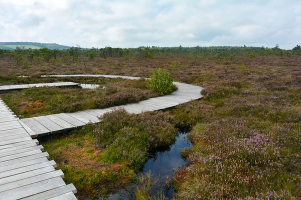 Almanya 'nın Rhn kentindeki Black Moor' dan çok uzak olmayan Hesse, Thuringia ve Bavyera 'nın üç ülkenin köşesindeki eski bir Doğu Almanya sınır tahkimatının paslı giriş kapısı olan eski bir sınır gözlem kulesinin alt kısmı., 