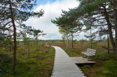 Almanya 'nın Rhn kentindeki Black Moor' dan çok uzak olmayan Hesse, Thuringia ve Bavyera 'nın üç ülkenin köşesindeki eski bir Doğu Almanya sınır tahkimatının paslı giriş kapısı olan eski bir sınır gözlem kulesinin alt kısmı., 