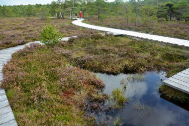 Almanya 'nın Rhn kentindeki Black Moor' dan çok uzak olmayan Hesse, Thuringia ve Bavyera 'nın üç ülkenin köşesindeki eski bir Doğu Almanya sınır tahkimatının paslı giriş kapısı olan eski bir sınır gözlem kulesinin alt kısmı., 