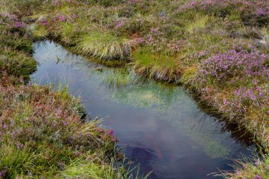 Almanya 'nın Rhn kentindeki Black Moor' dan çok uzak olmayan Hesse, Thuringia ve Bavyera 'nın üç ülkenin köşesindeki eski bir Doğu Almanya sınır tahkimatının paslı giriş kapısı olan eski bir sınır gözlem kulesinin alt kısmı., 