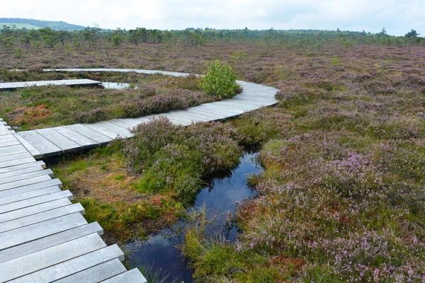 Almanya 'nın Rhn kentindeki Black Moor' dan çok uzak olmayan Hesse, Thuringia ve Bavyera 'nın üç ülkenin köşesindeki eski bir Doğu Almanya sınır tahkimatının paslı giriş kapısı olan eski bir sınır gözlem kulesinin alt kısmı., 