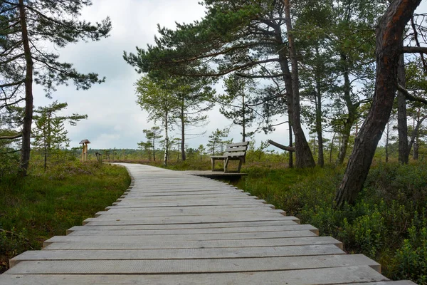 Almanya 'nın Rhn kentindeki Black Moor' dan çok uzak olmayan Hesse, Thuringia ve Bavyera 'nın üç ülkenin köşesindeki eski bir Doğu Almanya sınır tahkimatının paslı giriş kapısı olan eski bir sınır gözlem kulesinin alt kısmı., 