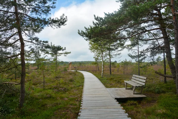 Almanya 'nın Rhn kentindeki Black Moor' dan çok uzak olmayan Hesse, Thuringia ve Bavyera 'nın üç ülkenin köşesindeki eski bir Doğu Almanya sınır tahkimatının paslı giriş kapısı olan eski bir sınır gözlem kulesinin alt kısmı., 