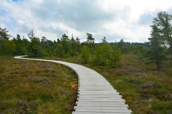 Rhoen, Bavyera, Almanya 'daki siyah bozkır, sonbaharda yeni bir bozkır yolu ile