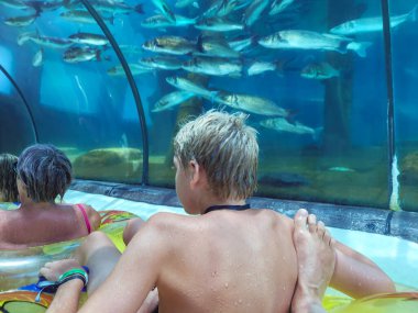 Siam Park, Costa Adeje, Tenerife, Spain - August 9, 2022 - Shark Fish Tunnel in Mai Thai River, in the largest water park in Europe, it is located in the south of the Canary Island of Tenerife in Costa Adeje