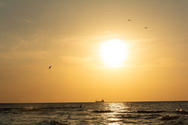 Deniz üzerinde güzel turuncu günbatımı, ufukta bir gemi, Groynes ve martıları ile