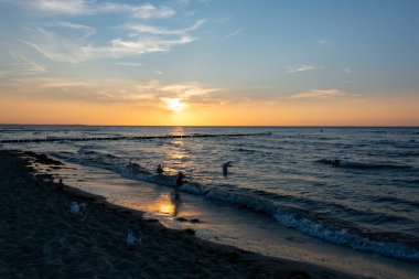 Sahil Idyll - Denizin üzerinde güzel turuncu gün batımı, suda ahşap bir dalgakıran ve bazı martılar