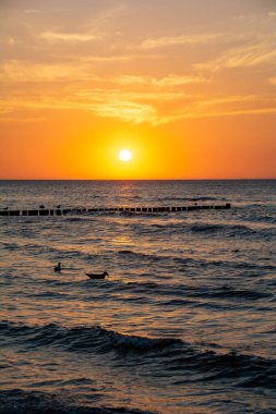 Sahil Idyll - Denizin üzerinde güzel turuncu gün batımı, suda ahşap bir dalgakıran ve bazı martılar