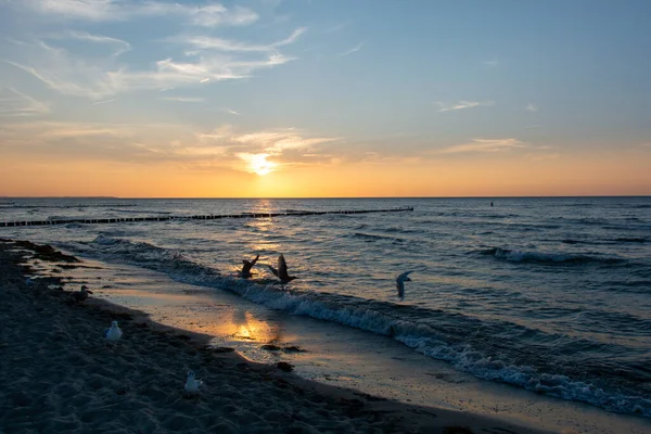 Pláž Idyll Krásný Oranžový Západ Slunce Nad Mořem Dřevěnou Vlnolamem — Stock fotografie