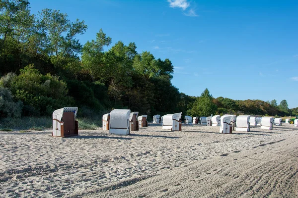 Fehér Hagyományos Fonott Strand Kosarak Székek Homokos Strandon Fák Háttérben — Stock Fotó