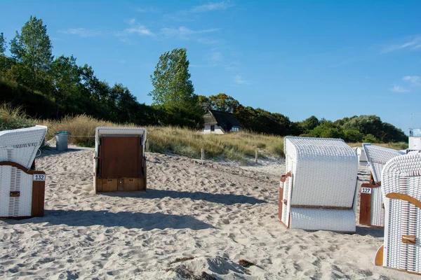 Fehér Hagyományos Fonott Strand Kosarak Székek Homokos Strandon Fák Háttérben — Stock Fotó