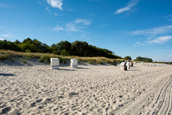 Fehér Hagyományos Fonott Strand Kosarak Székek Homokos Strandon Fák Háttérben — Stock Fotó