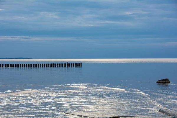 静かな海の木々 青い空のバルト海沿岸 — ストック写真