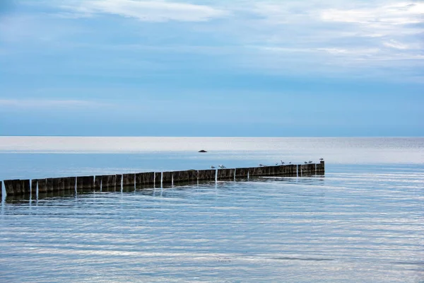 Drewniane Groynty Cichym Morzu Wybrzeżu Morza Bałtyckiego Błękitnym Niebem — Zdjęcie stockowe