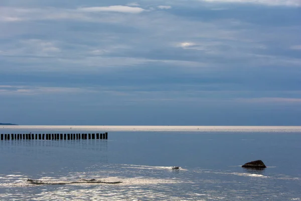 静かな海の木々 青い空のバルト海沿岸 — ストック写真