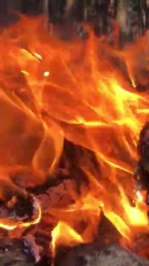 Yakın çekim şenlik ateşi. Yakın plan ateş. Kütük atışı dikey video.